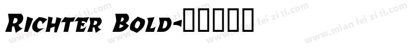Richter Bold字体转换